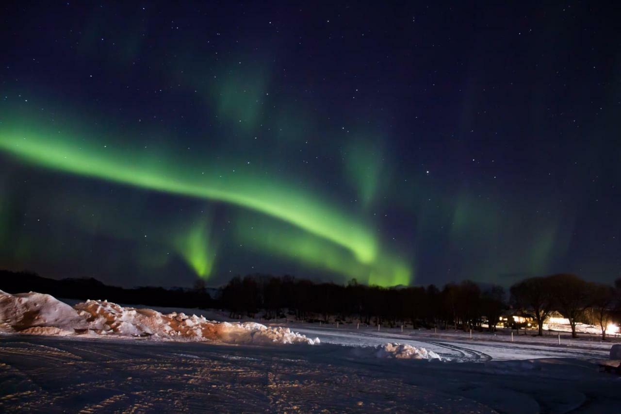 1 Room In The Yellow House, Close To Airport & Lofoten Evenskjer ภายนอก รูปภาพ