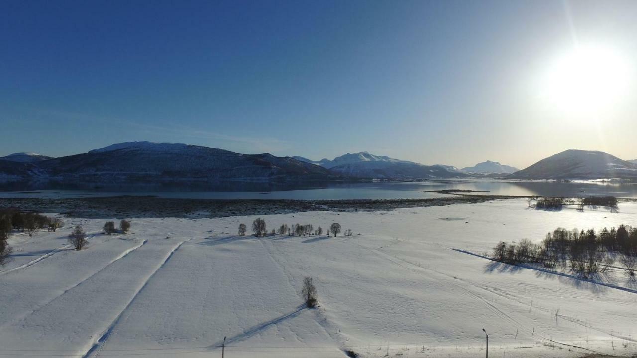 1 Room In The Yellow House, Close To Airport & Lofoten Evenskjer ภายนอก รูปภาพ