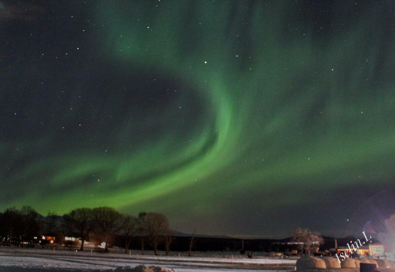 1 Room In The Yellow House, Close To Airport & Lofoten Evenskjer ภายนอก รูปภาพ