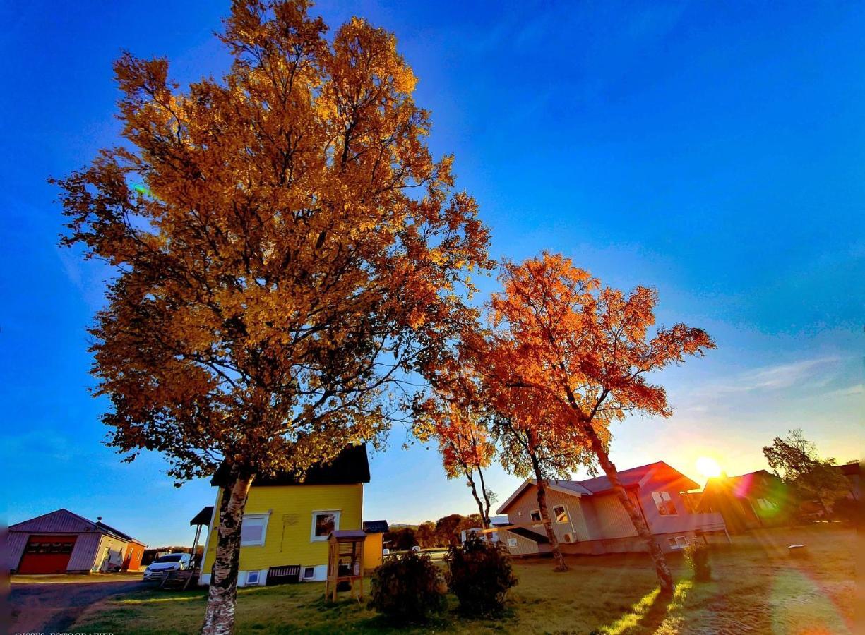 1 Room In The Yellow House, Close To Airport & Lofoten Evenskjer ภายนอก รูปภาพ