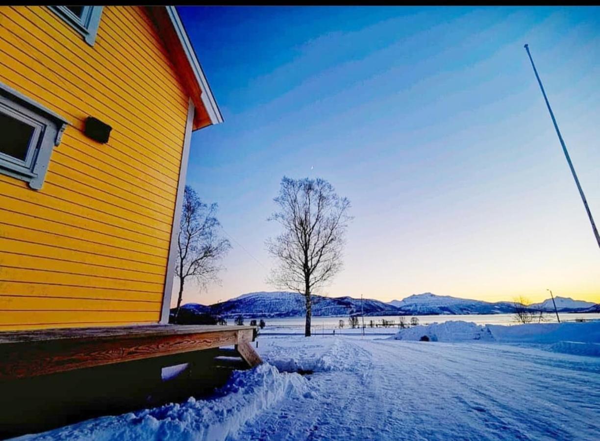 1 Room In The Yellow House, Close To Airport & Lofoten Evenskjer ภายนอก รูปภาพ